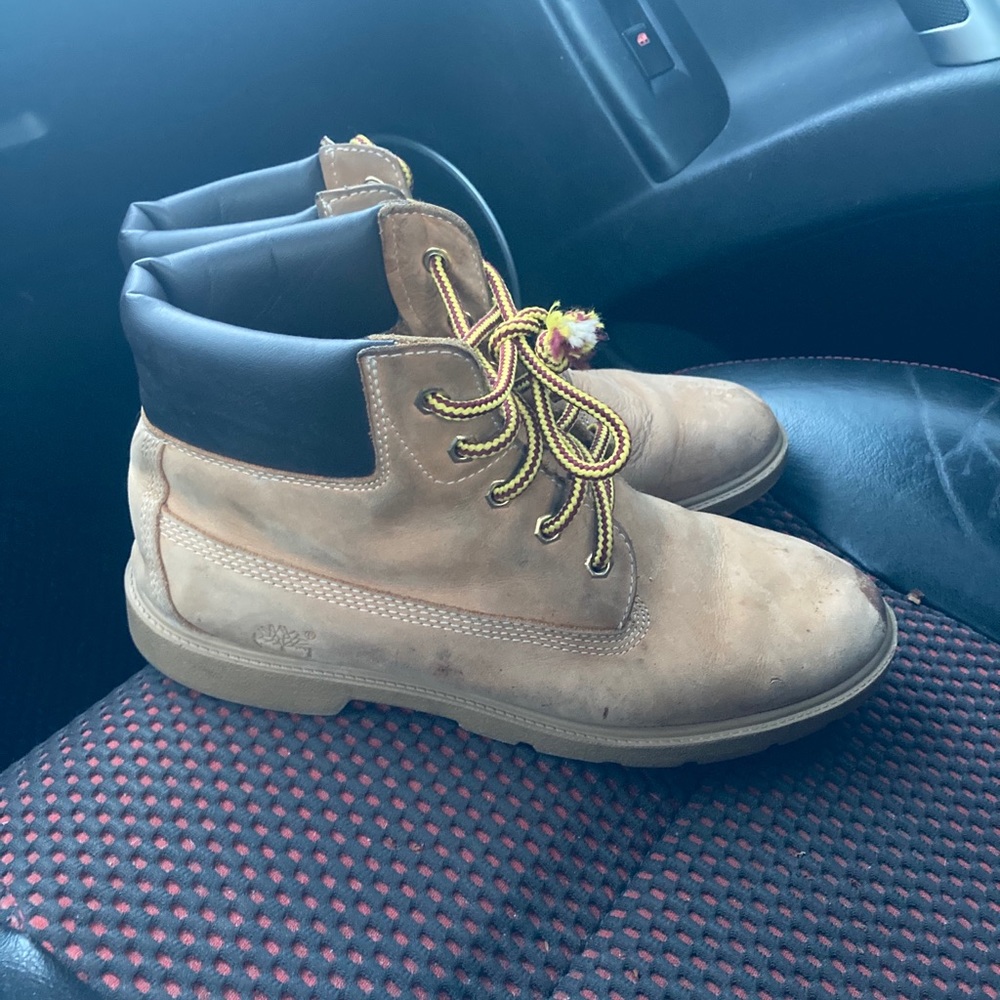 Timberlands - Picture 5 of 5